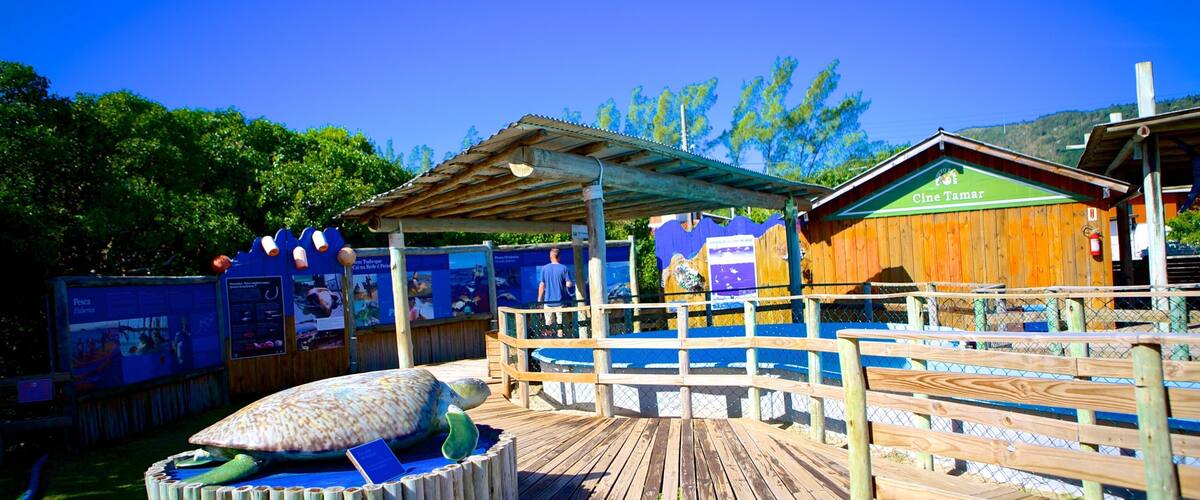 Projeto Tamar