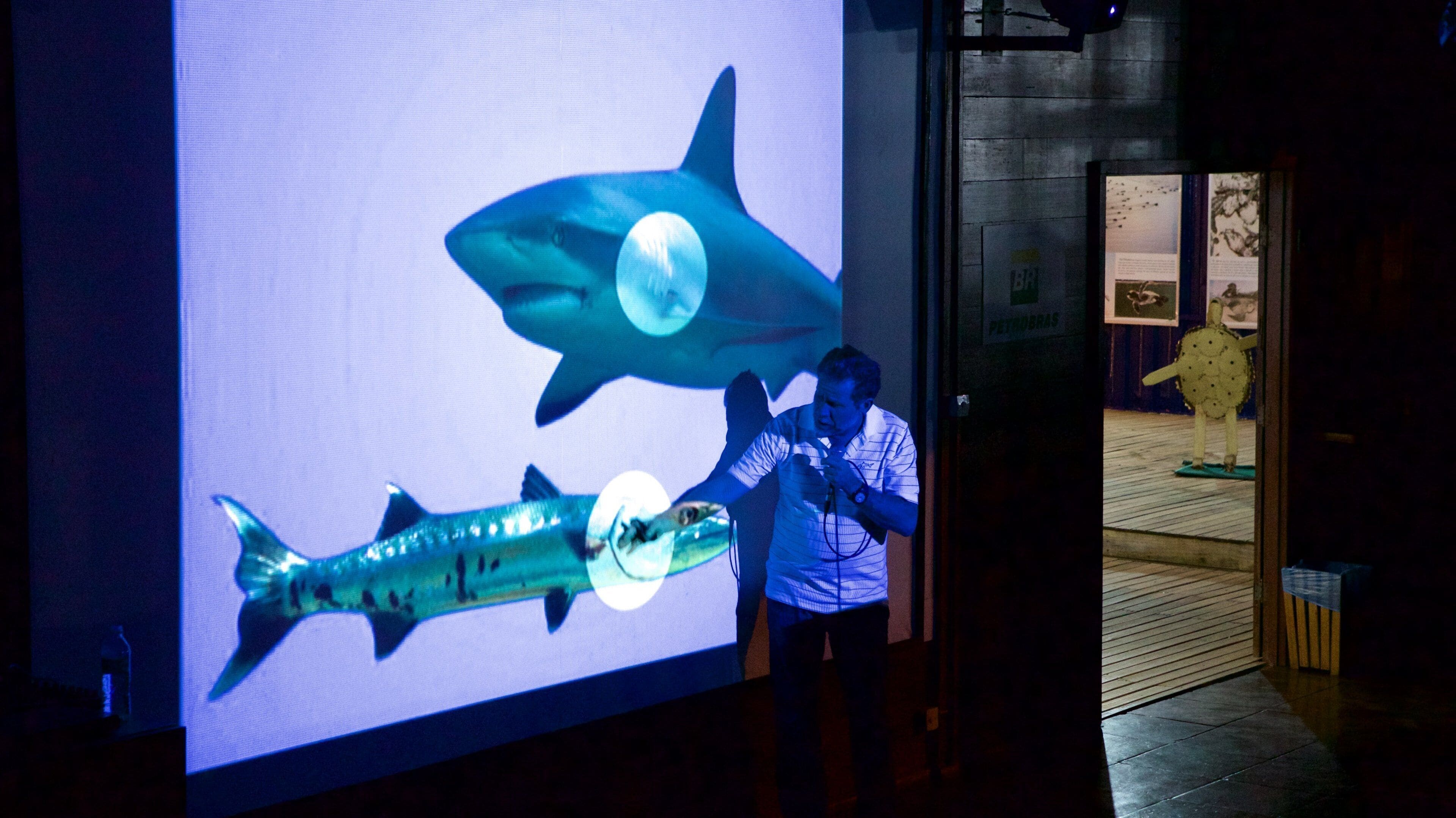 Tamar Project showing interior views as well as an individual male