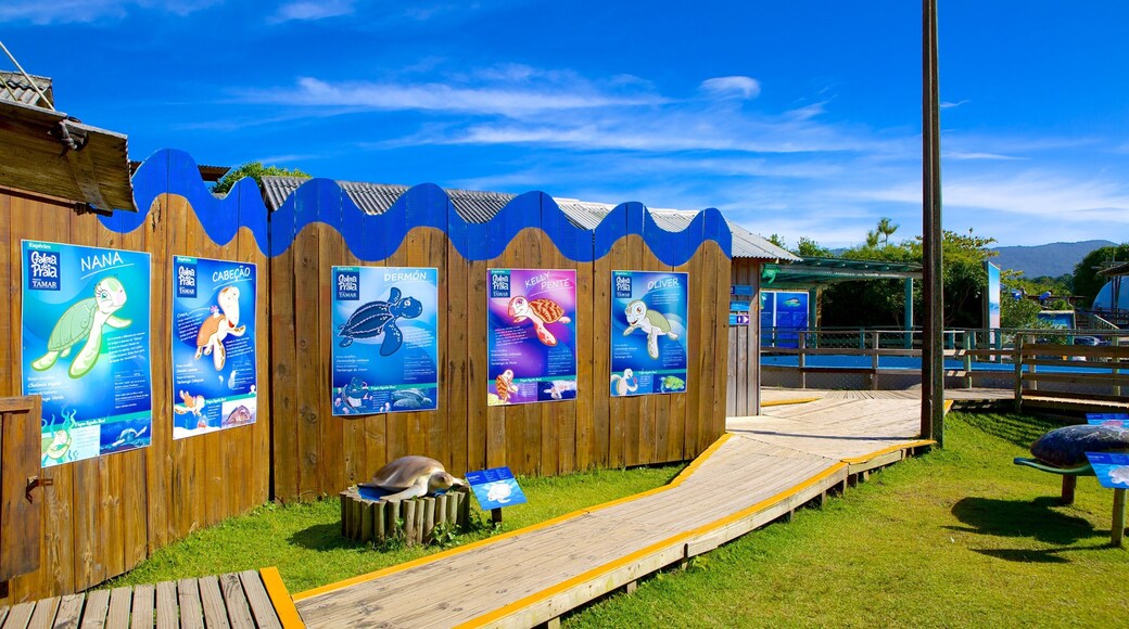 Tamar Project featuring zoo animals