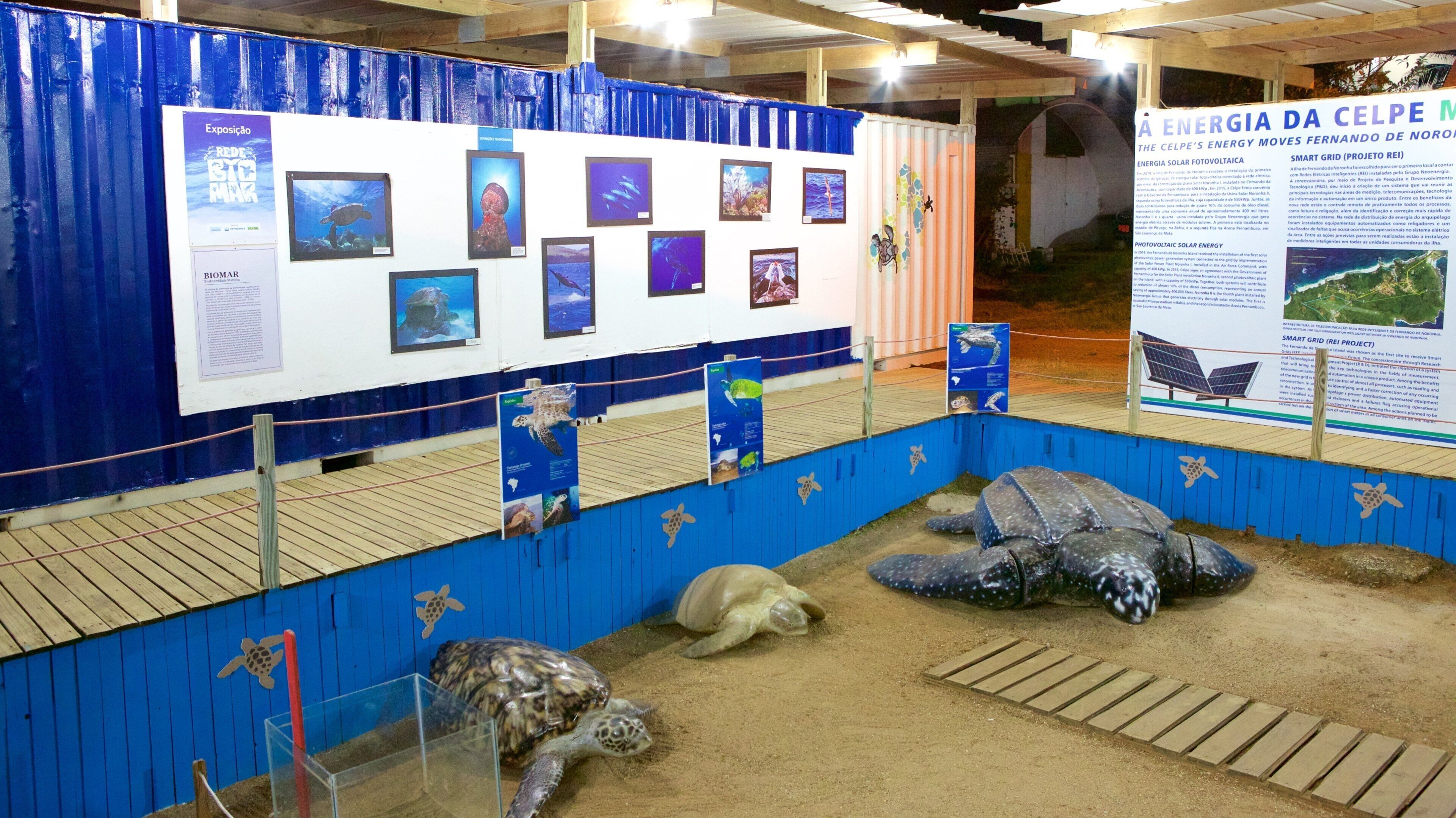 Tamar Project som inkluderar interiörer och en staty eller skulptur