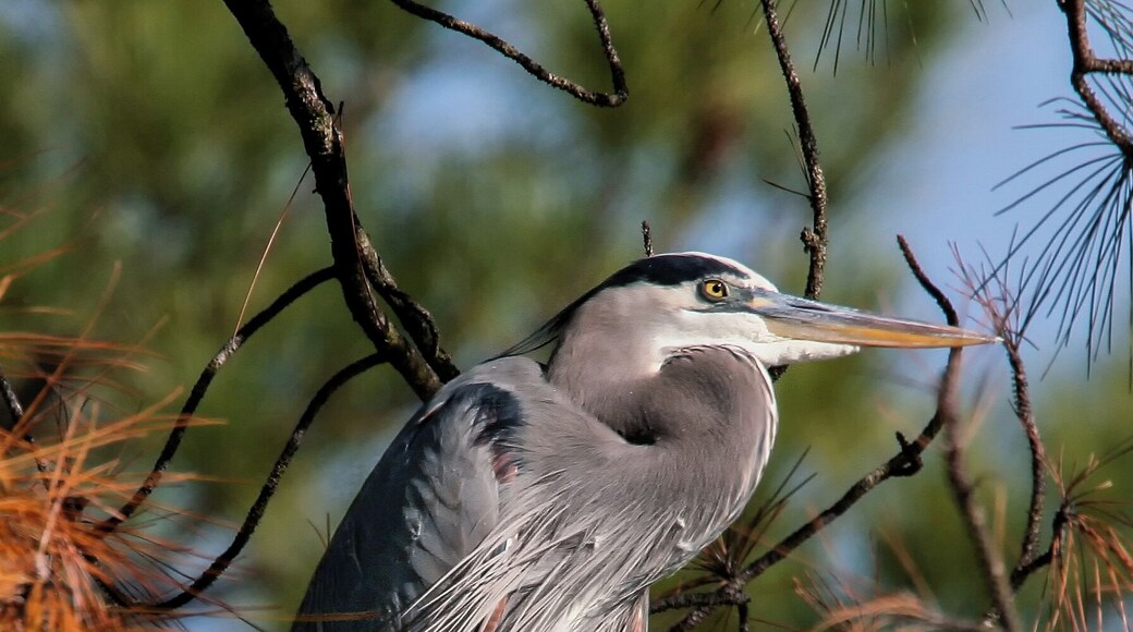 Last one I swear! but...so majestic.