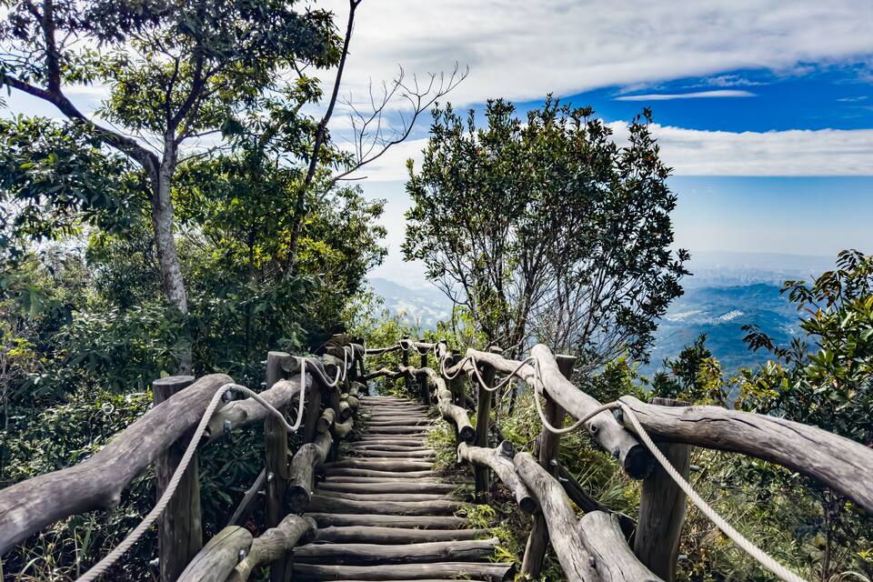 Un escalier en bois, entouré d’arbres, qui mène à un belvédère offrant une vue panoramique.