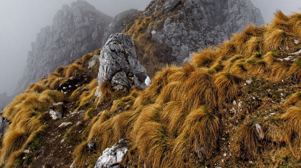 Watch your step...Topped out the hike and it was too foggy to see but the effect was epic! #adventure