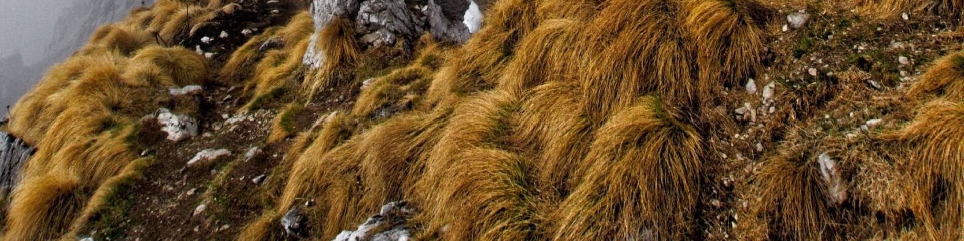 Watch your step...Topped out the hike and it was too foggy to see but the effect was epic! #adventure