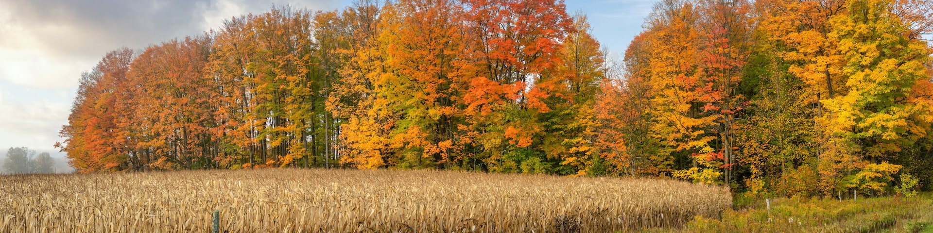 Colorful Autumn Scenic drive in central Michigan countryside