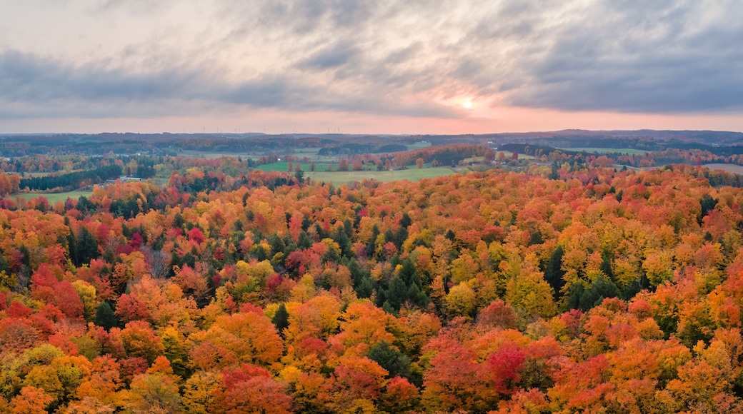 Sunrise on a colorful scenic drive in autumn through the central Michigan countryside and farm land near Cadillac