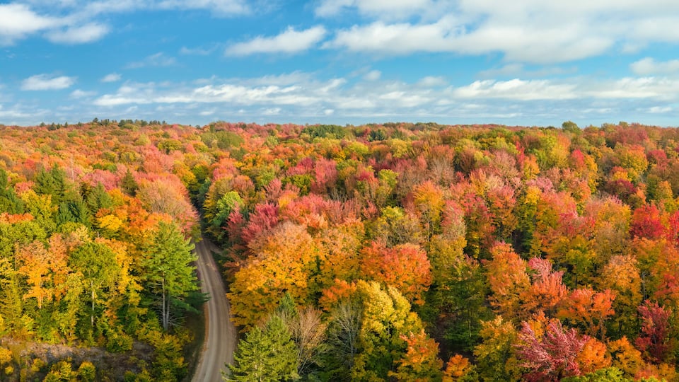 Colorful scenic drive in autumn through the central Michigan countryside near Cadillac