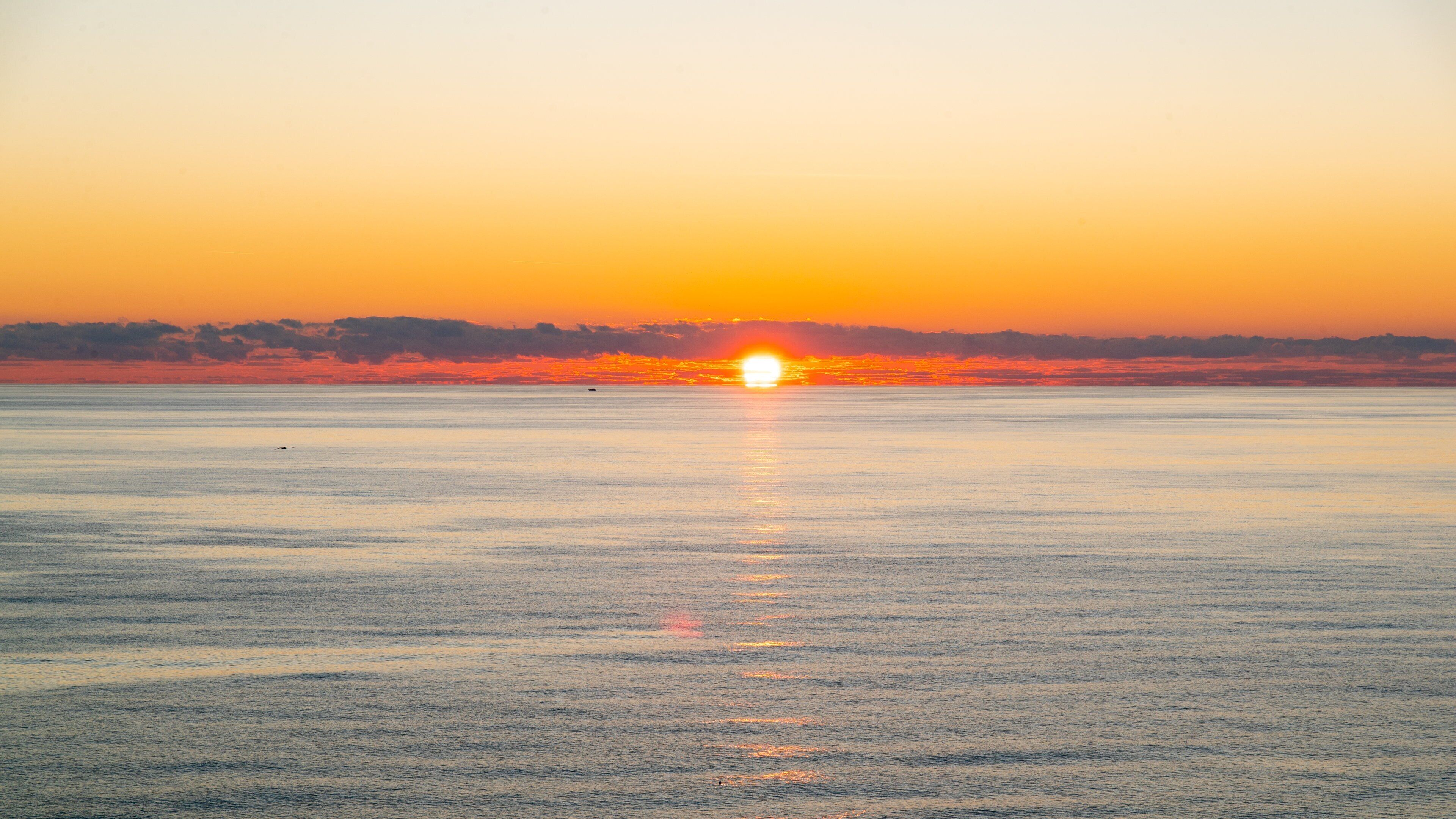 Gulf Coast State College featuring a sunset and general coastal views