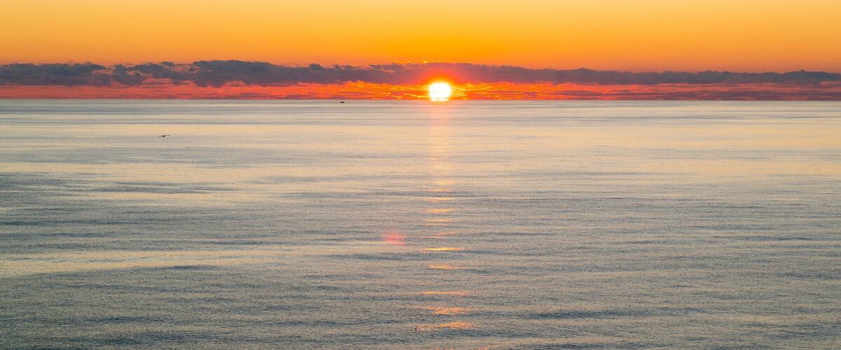 Gulf Coast State College featuring a sunset and general coastal views