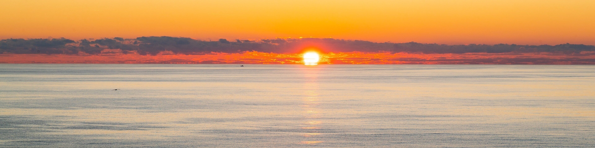 Gulf Coast State College featuring a sunset and general coastal views