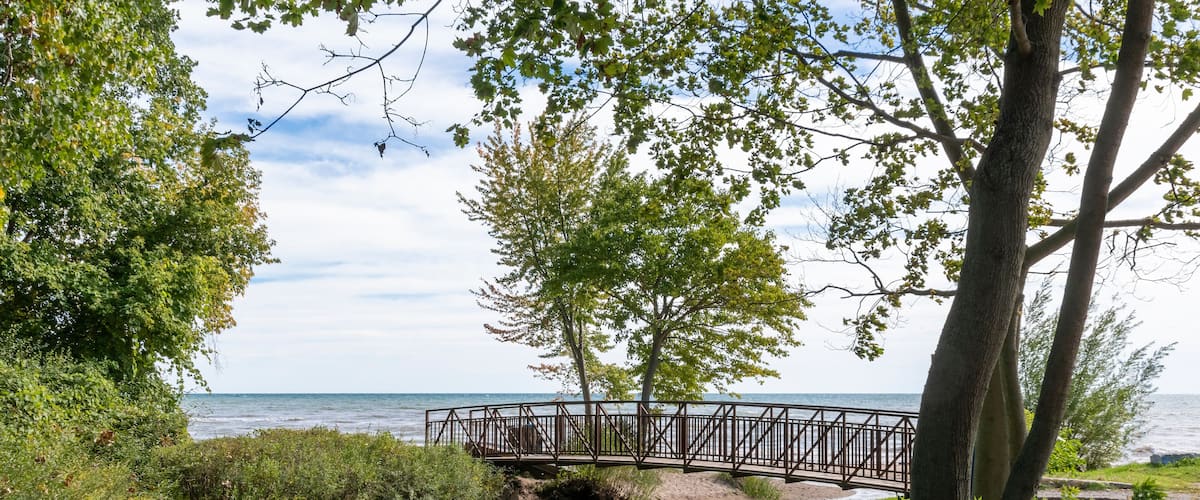 A wooden bridge over a stream, surrounded by trees and a grassy area near a body of water.