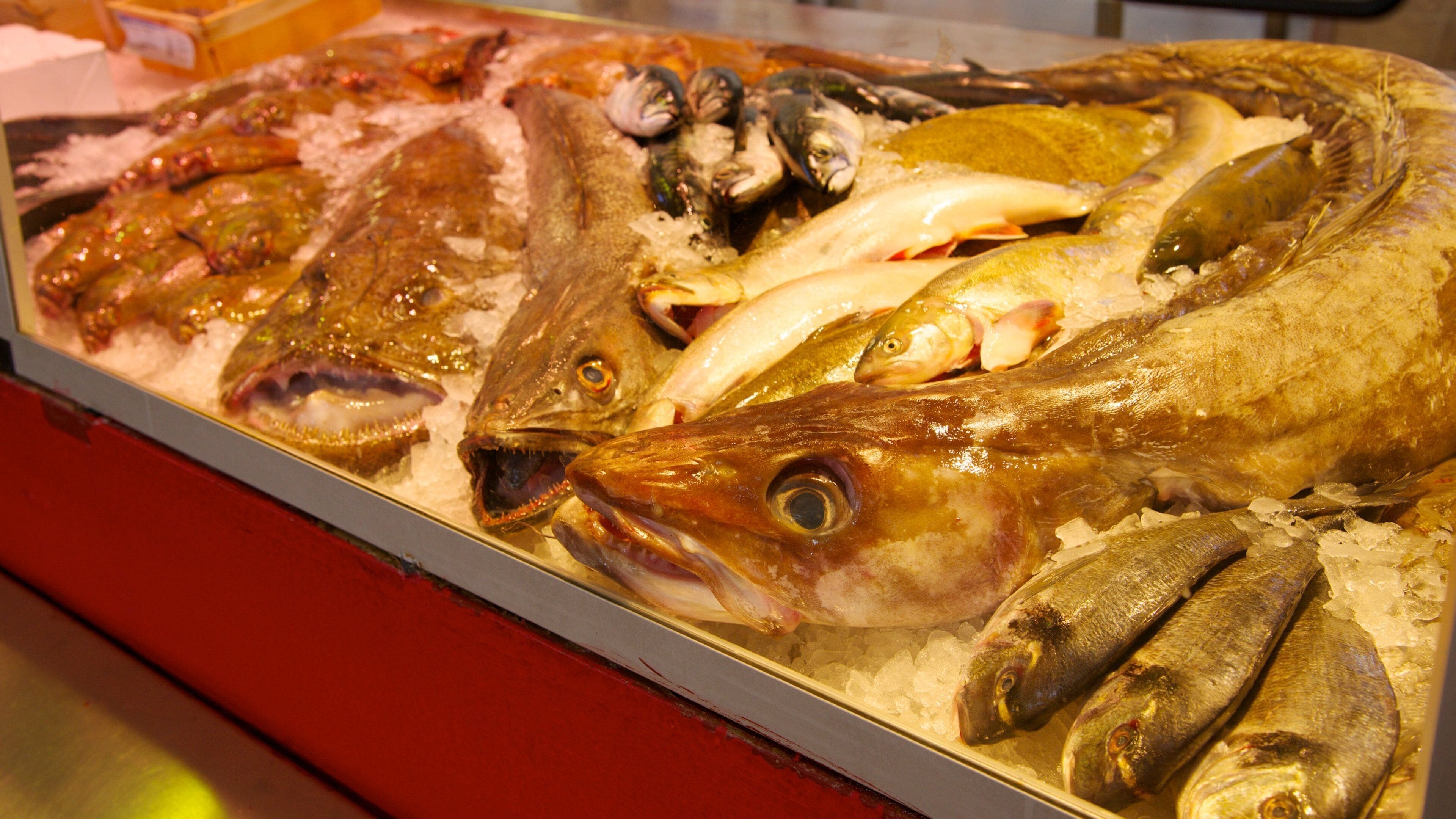 Fiskemarkedet fasiliteter samt mat og marked