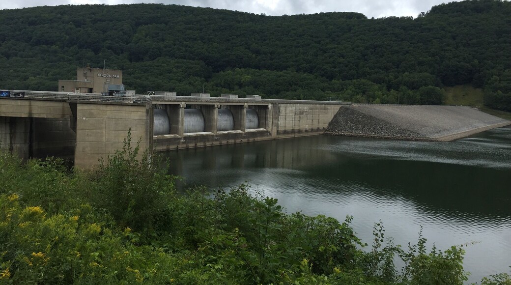 On the Allegheny River, there are huge fish by the dam.