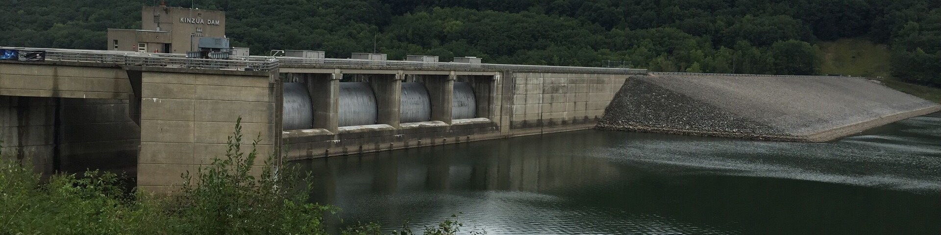 On the Allegheny River, there are huge fish by the dam.