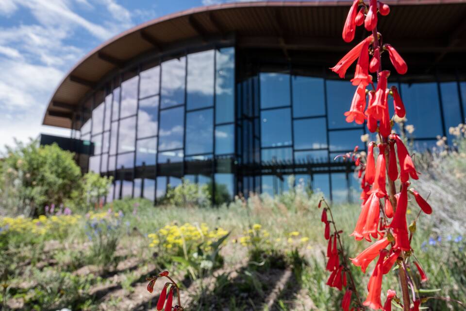 A modern building with a curved roof and reflective glass windows, surrounded by a variety of wildflowers and greenery.