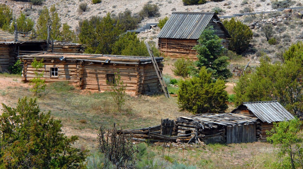 Log Cabin 文化博物館