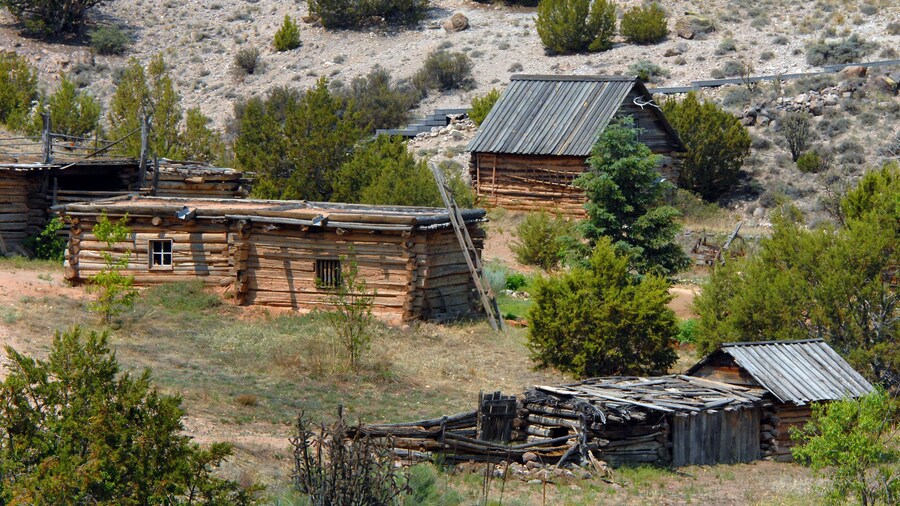 Early New Mexican Heritage