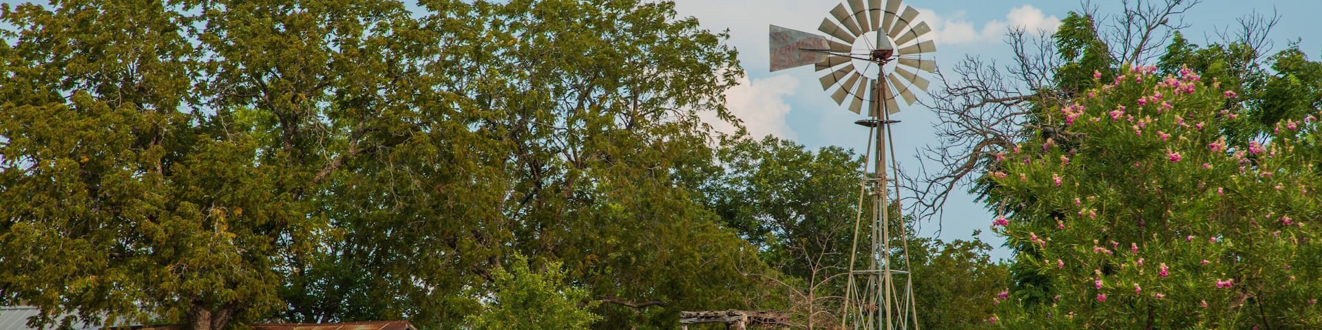 Leander featuring farmland