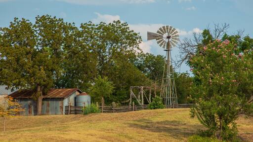 Leander featuring farmland