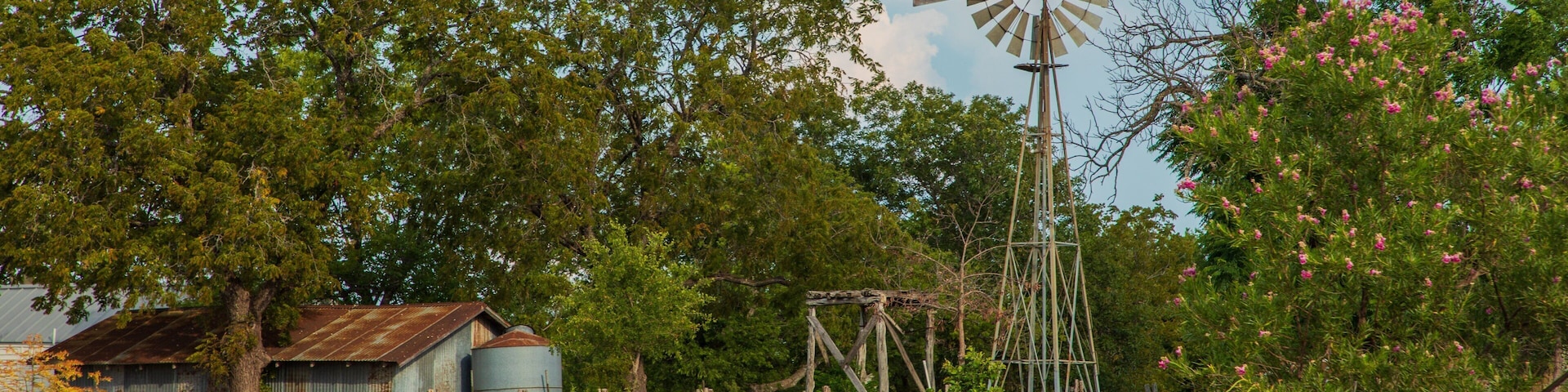 Leander featuring farmland