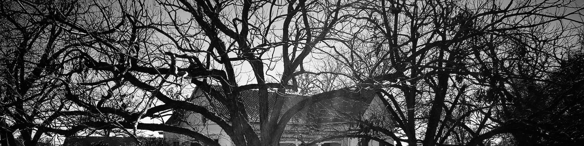 A Photowalk in McDade Tx. #noborderlens #walkabout2016 #smalltowns #texas #historic