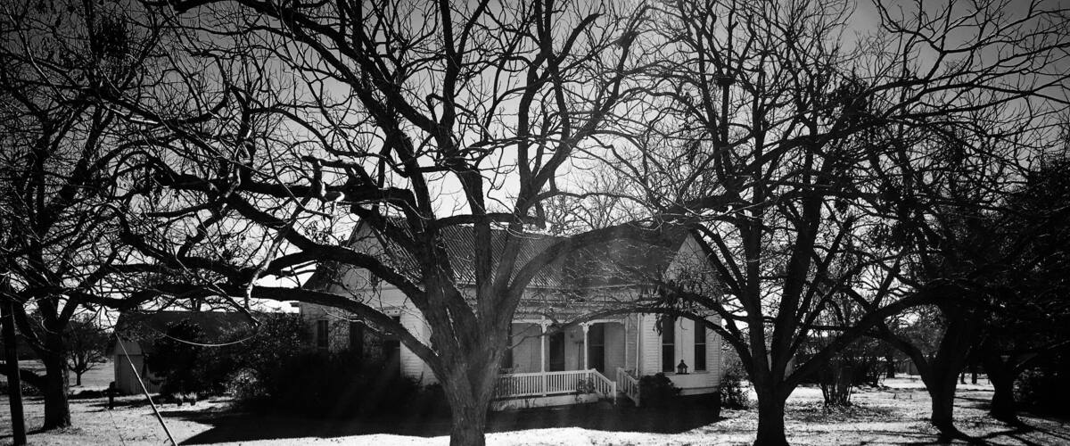 A house surrounded by leafless trees casting shadows on the ground.