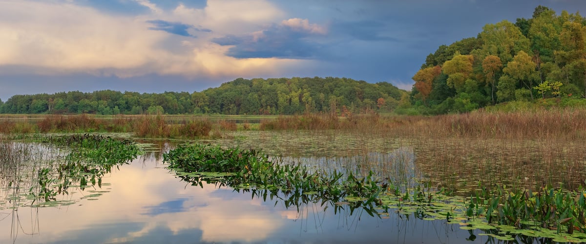 Summer landscape at dawn of East Three Lakes with reflections in calm water, Michigan, USA