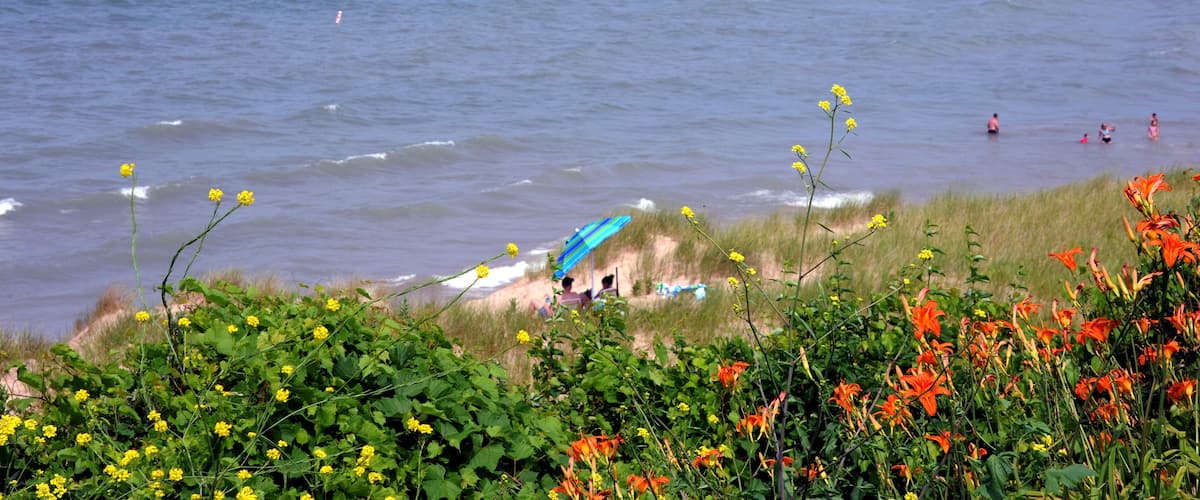 A beach with waves, a lighthouse, and people swimming.