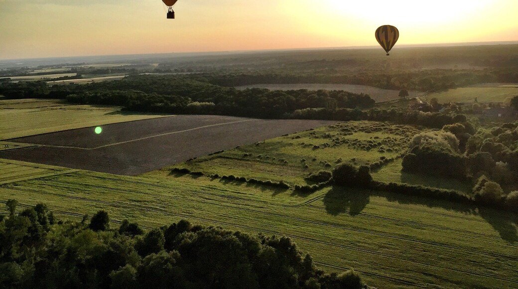 Hot air ballon ride in The Loire Valley France for my father's 60th birthday present. Hands down my favorite experience of this trip. We watched other balloons taking off from above while the sun began to set. We also got to see the chateaux we toured from a different perspective, gliding over ChĂąteau de Chenonceau. Once we landed safely, we had a champagne toast. I highly recommend going on a hot air balloon ride in this area of France. It was absolutely breathtaking.