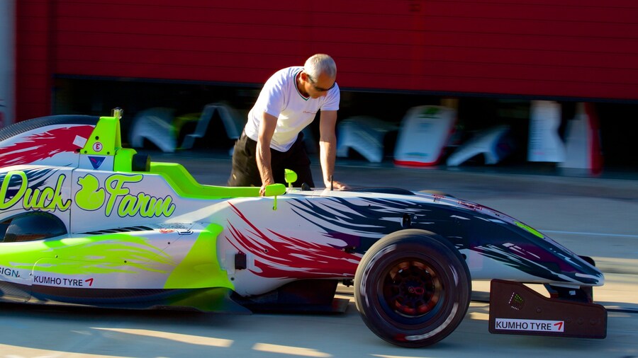 Imola featuring a sporting event as well as an individual male