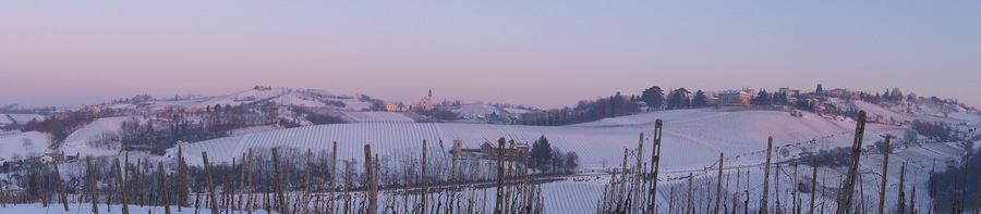 Corvino San Quirico