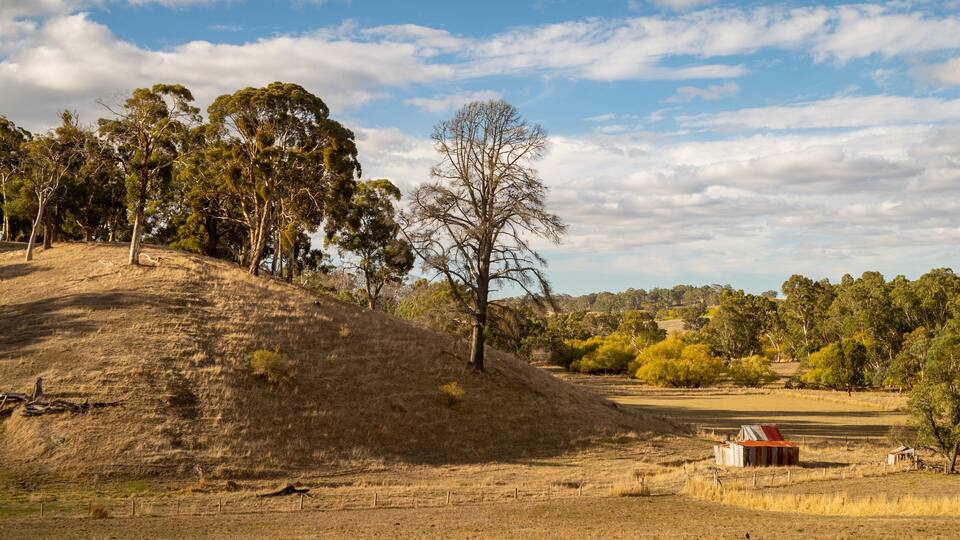 A hilly landscape with eucalyptus trees, a clear sky, and a small red-roofed building.