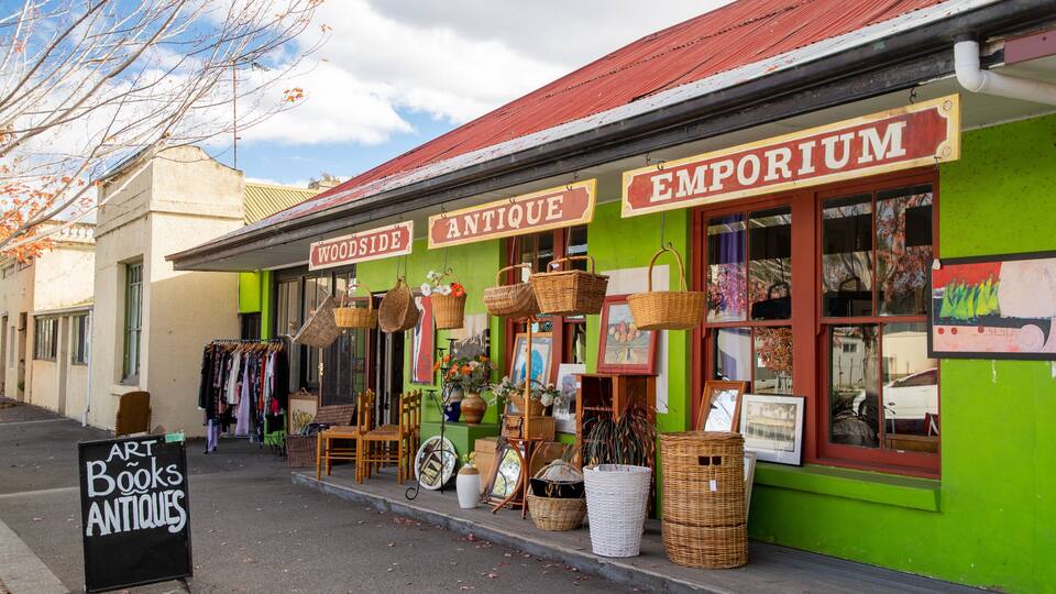 A storefront with signs reading "Antique" and "Woodside Emporium."