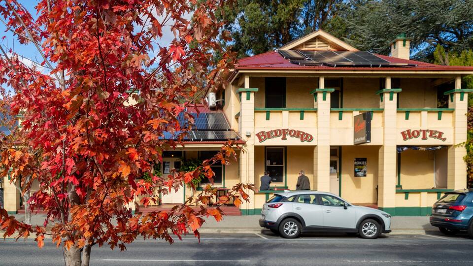 A building with 'Bedford Hotel' signage, parked cars, and autumn foliage.