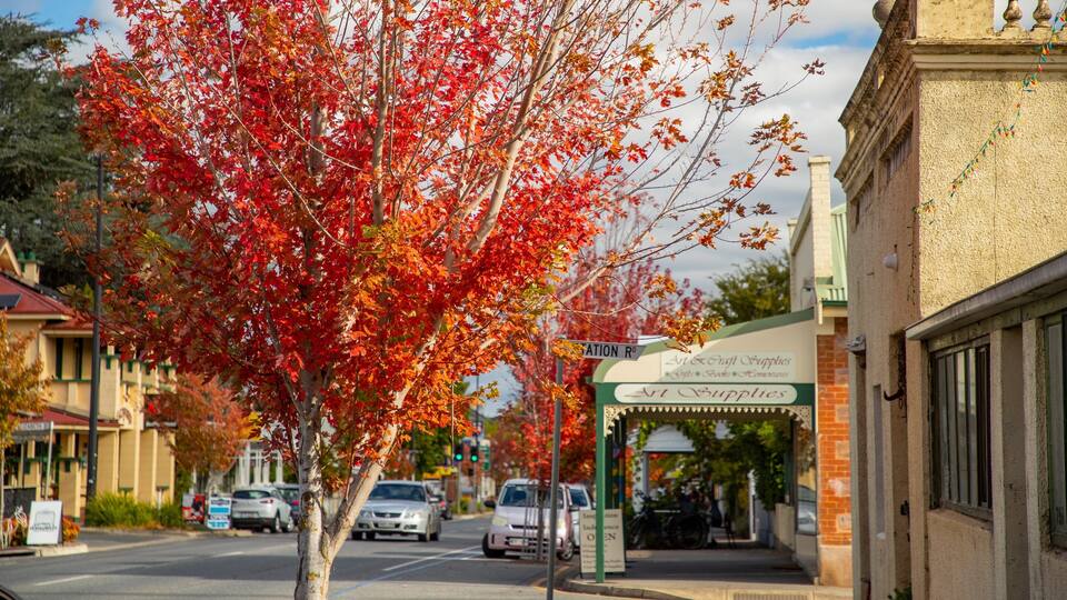 A street with autumn foliage, a sign for Art Supplies, and parked cars.