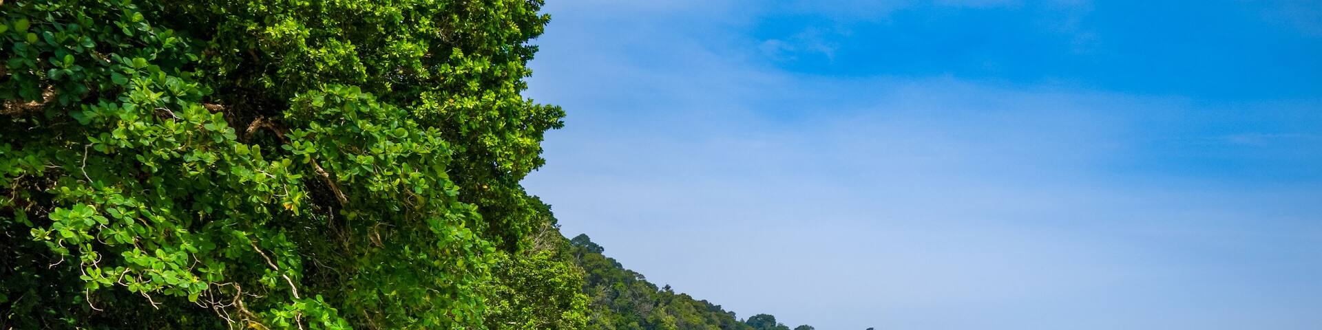 A sandy beach with waves, a forested hillside, and a clear blue sky.