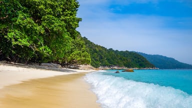 A sandy beach with waves, a forested hillside, and a clear blue sky.