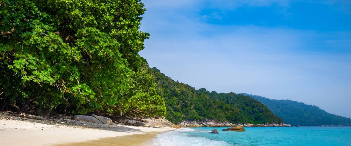 A sandy beach with waves, a forested hillside, and a clear blue sky.