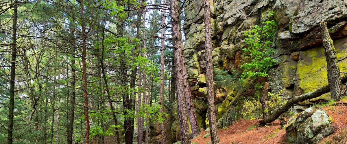 Forest trail and butte at castle mound