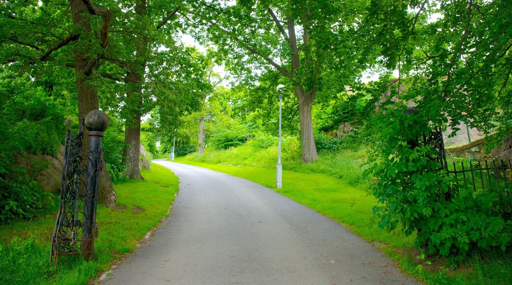 Skansen Kronan featuring a park