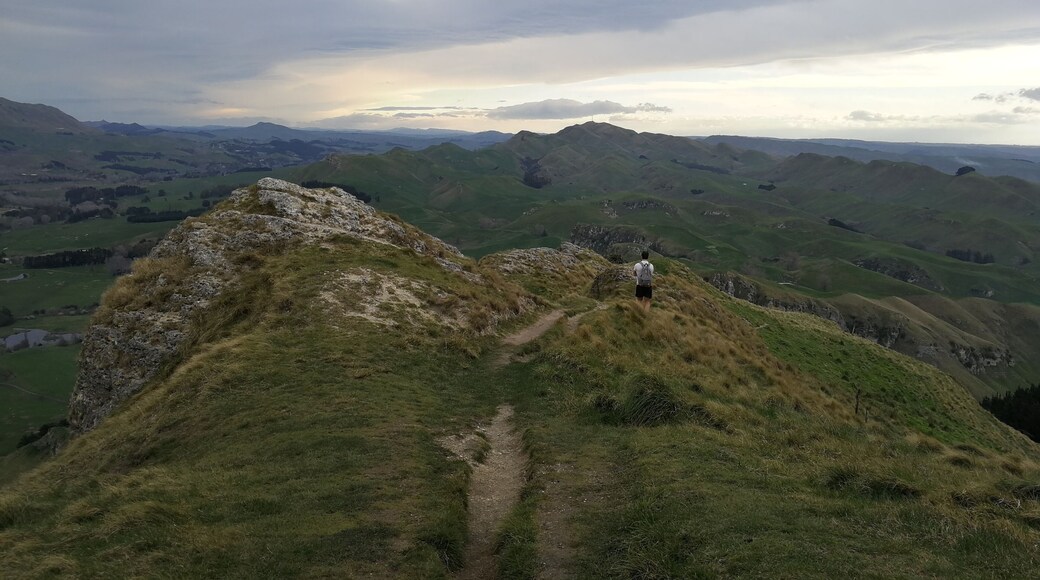 Walking back down from Te Mata Peak.