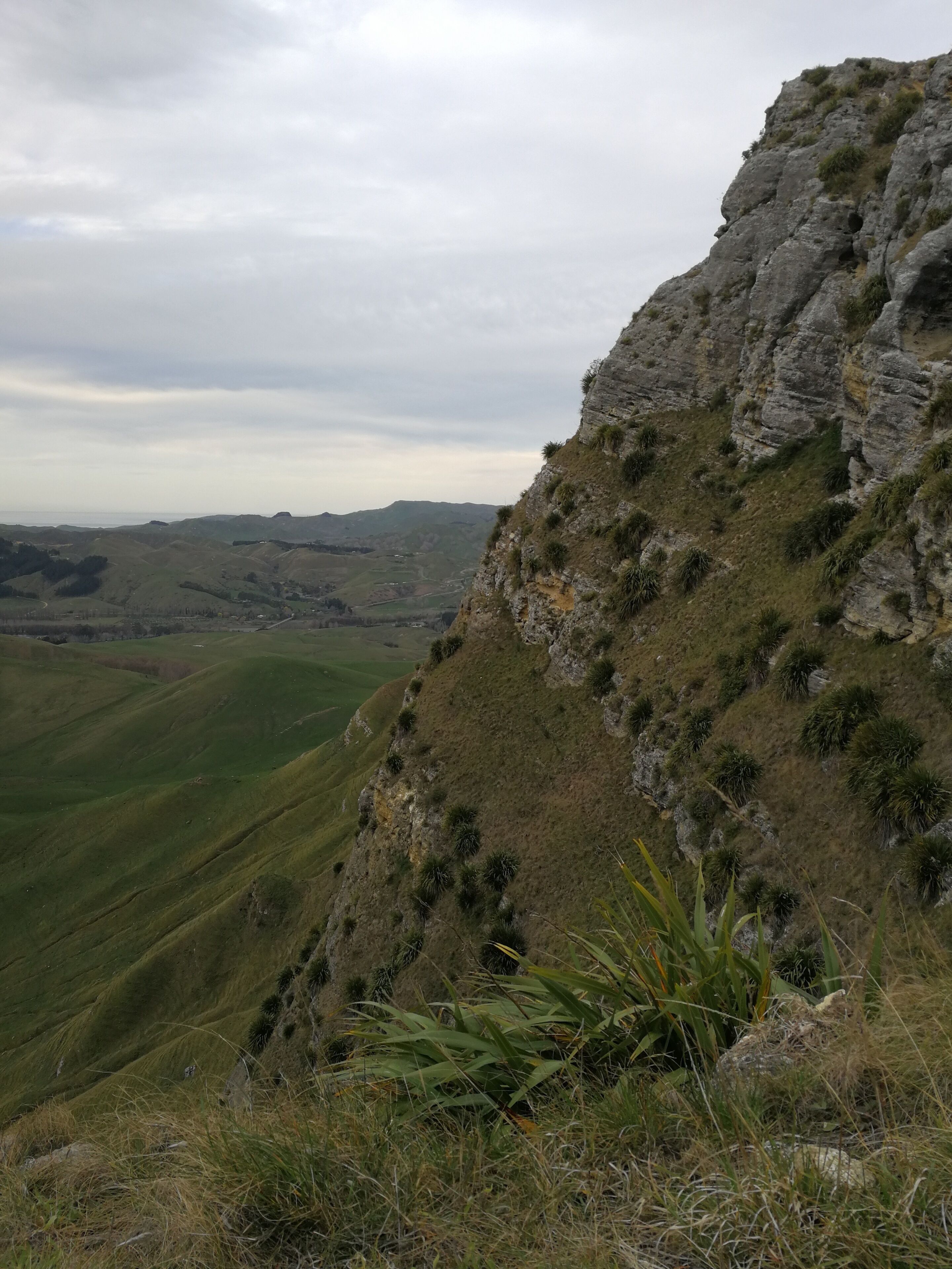 The walk up to Te Mata 