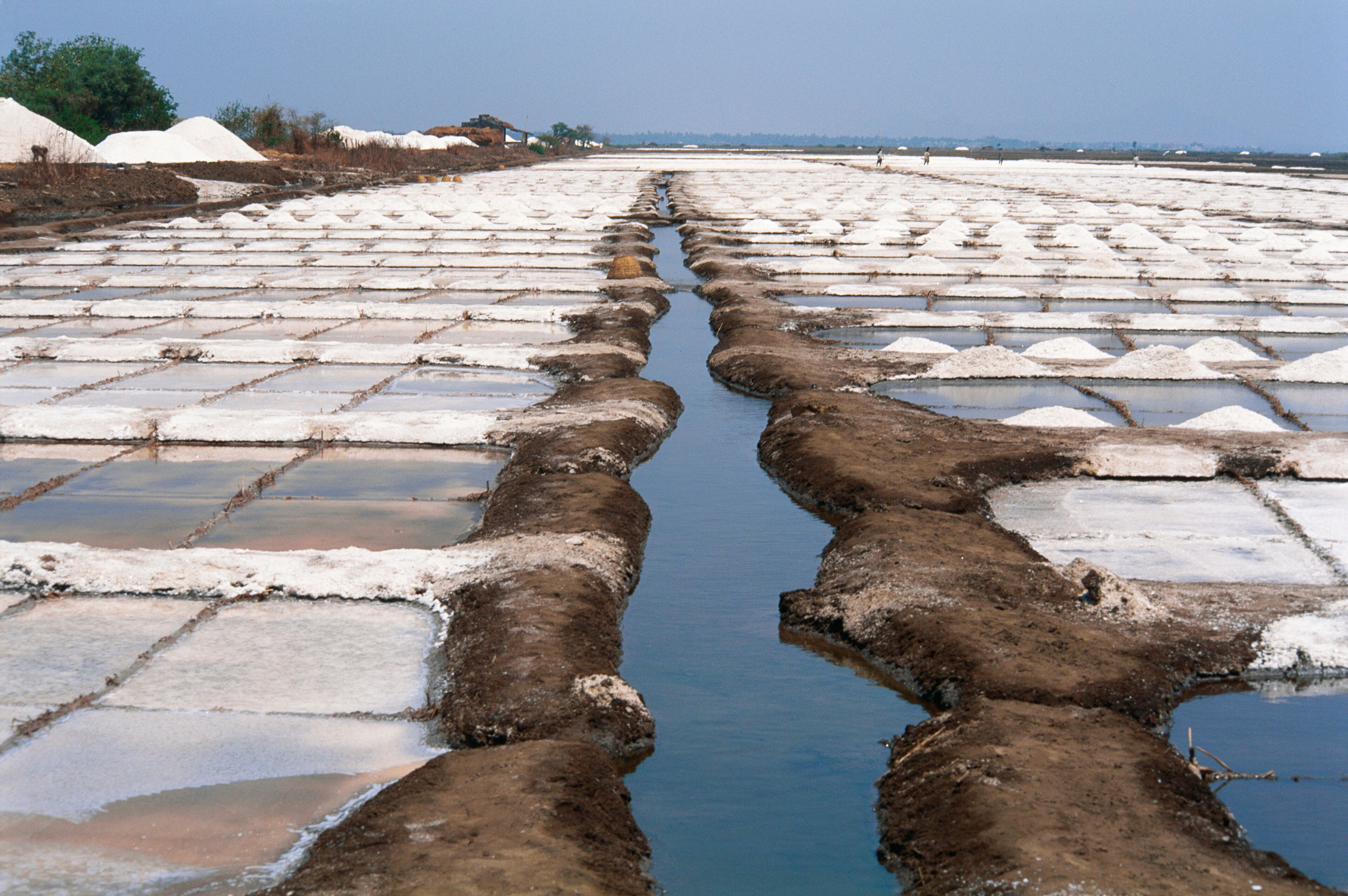 A salt flat with a central water channel.