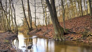 River in Bokskogen