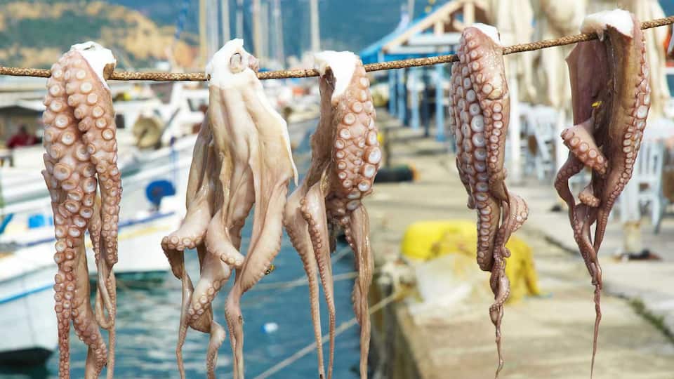 Octopus tentacles hanging from a rope at a marina with boats and a mountainous backdrop.