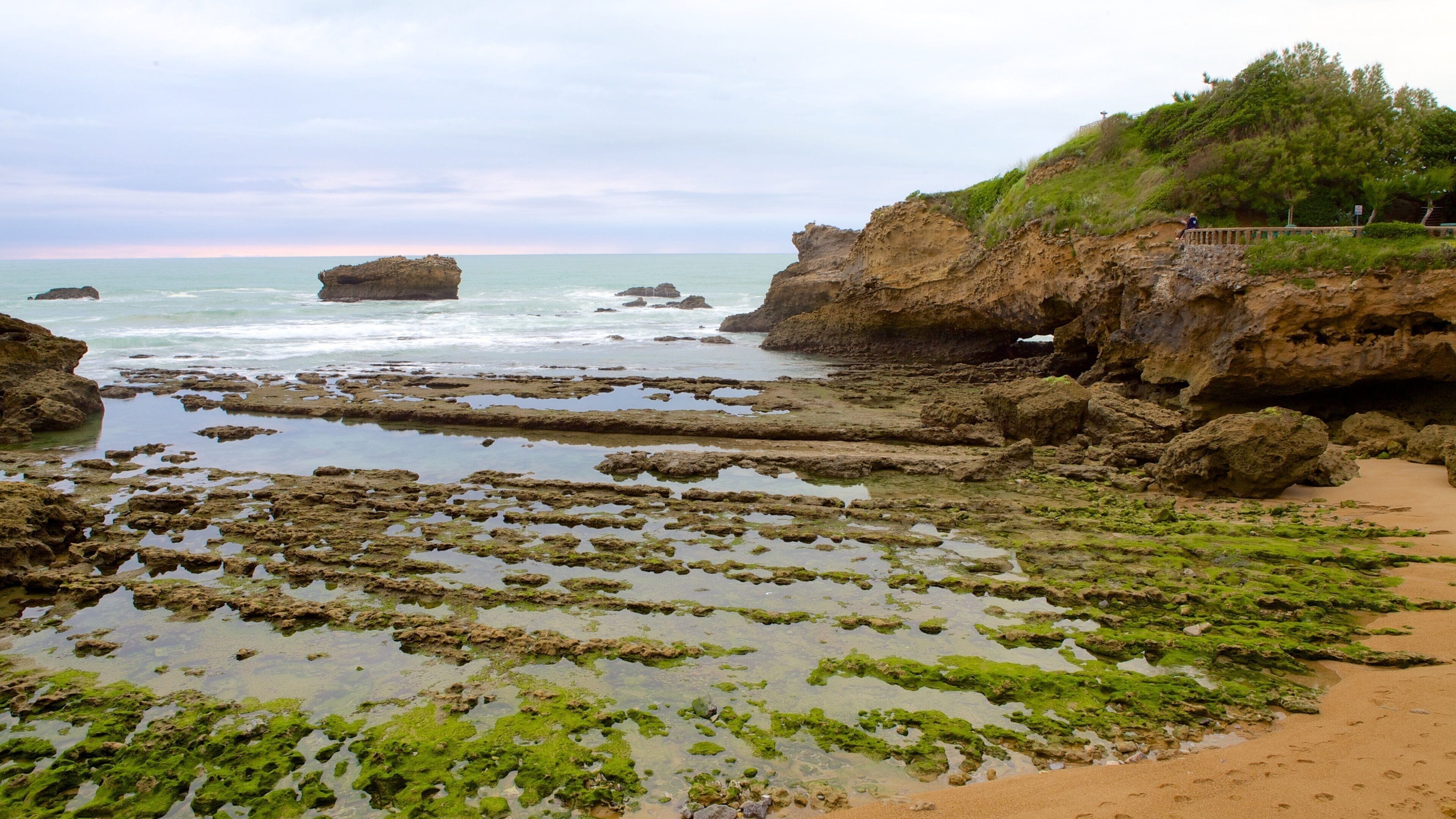 Old Harbor featuring a bay or harbor
