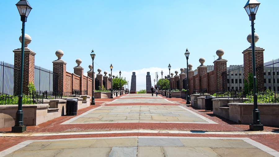 Walnut Street (winkelstraat)