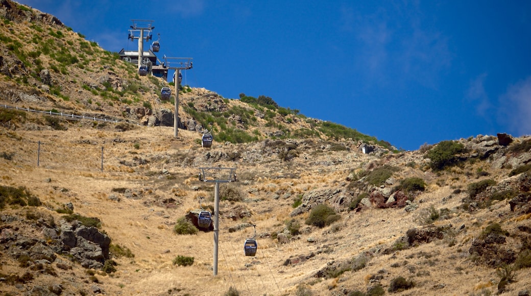 크라이스트처치 곤돌라 이 포함 곤돌라 과 산