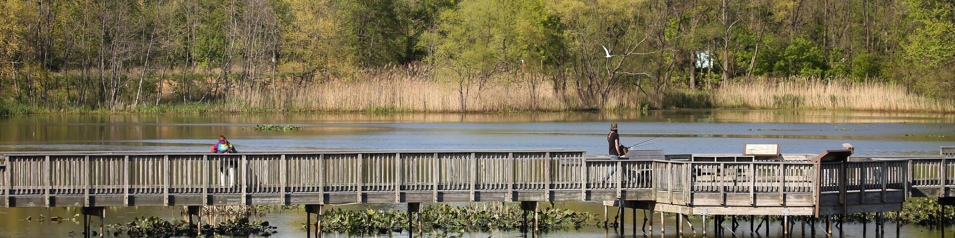 The boardwalk at John Heinz National Wildlife Refuge near Philadelphia airport in spring