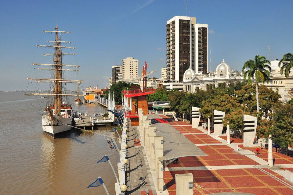 Un barco de gran tamaño amarrado en un paseo marítimo con edificios modernos y palmeras al fondo.